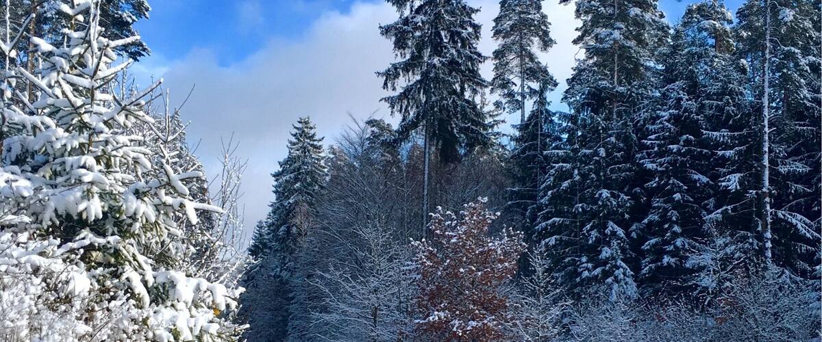 Winter near Selb in the Fichtel Mountains (Fichtelgebirge), Bavaria, Germany
#Hometown