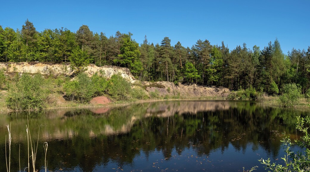 Muggenbach clay pits. Red Pit. WDPA ID 555521085