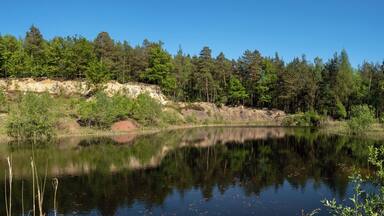 Muggenbach clay pits. Red Pit. WDPA ID 555521085
