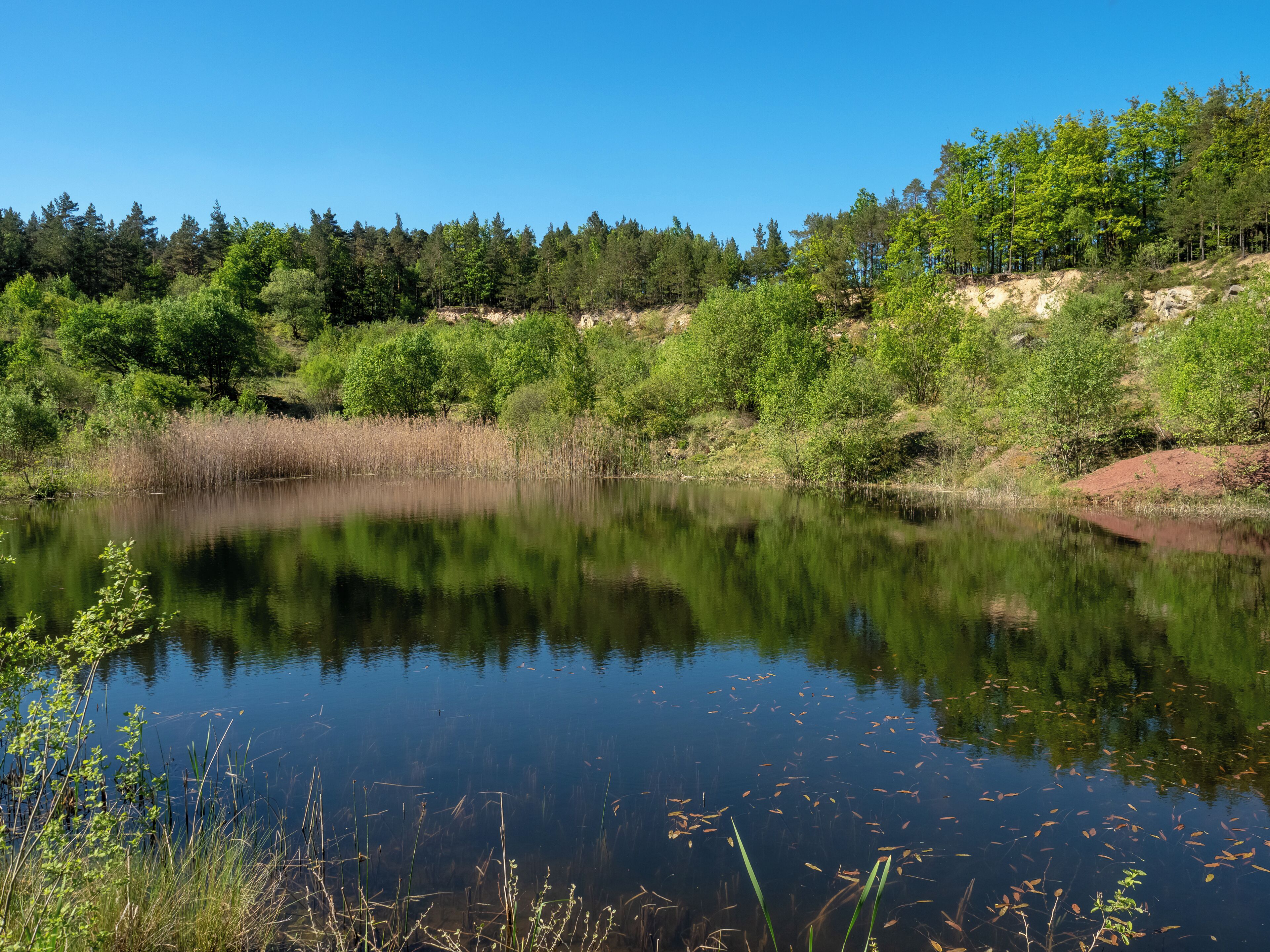Muggenbach clay pits. Red Pit. WDPA ID 555521085