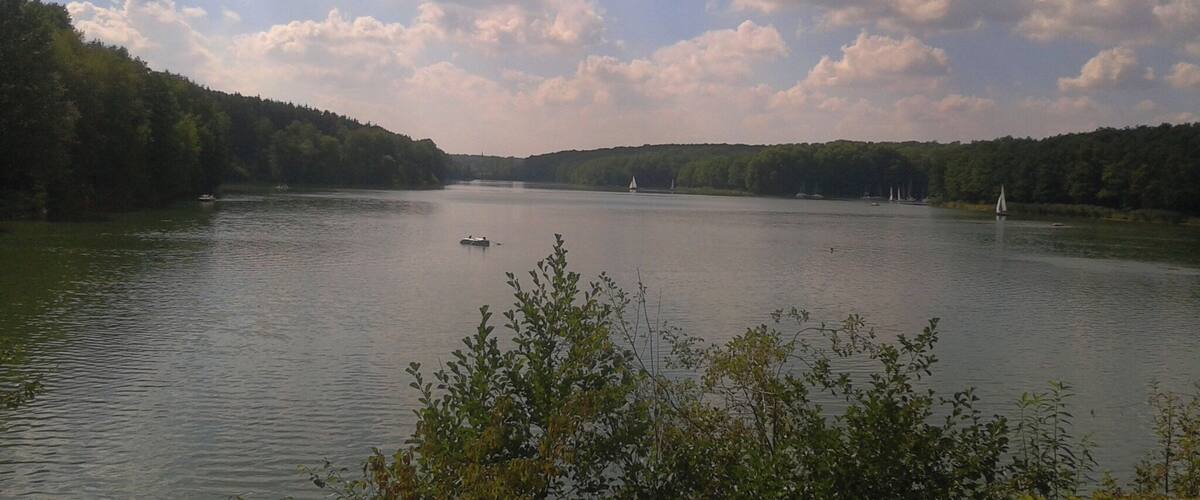 A calm river with a boat, surrounded by dense forest and a partly cloudy sky.
