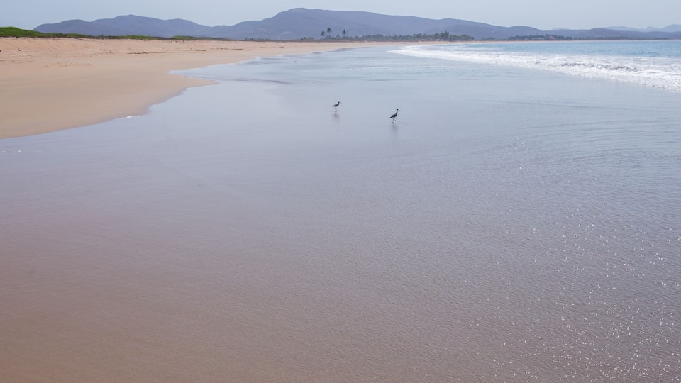 A beach with gentle waves, a clear sky, and distant mountains.