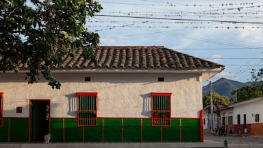 Un bâtiment avec un toit recouvert de tuiles, des encadrements de fenêtres verts et rouges, et une rue pavée.