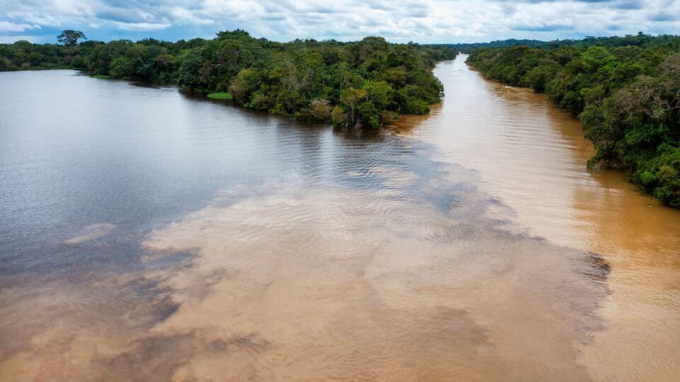 A river with a muddy brown color, surrounded by dense green forest.