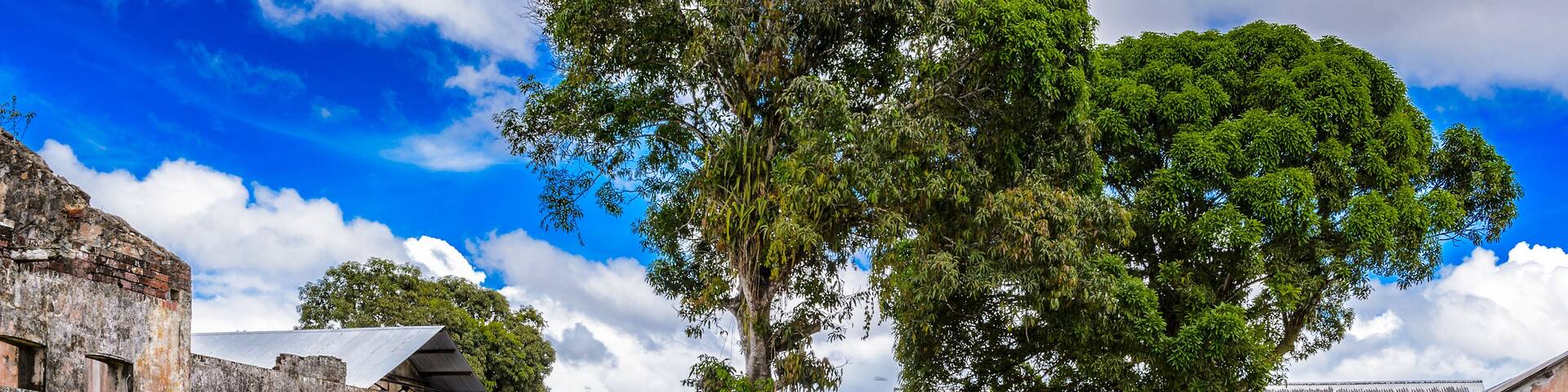 Rests of the Prison in Saint Laurent du Maroni, French Guiana, South America