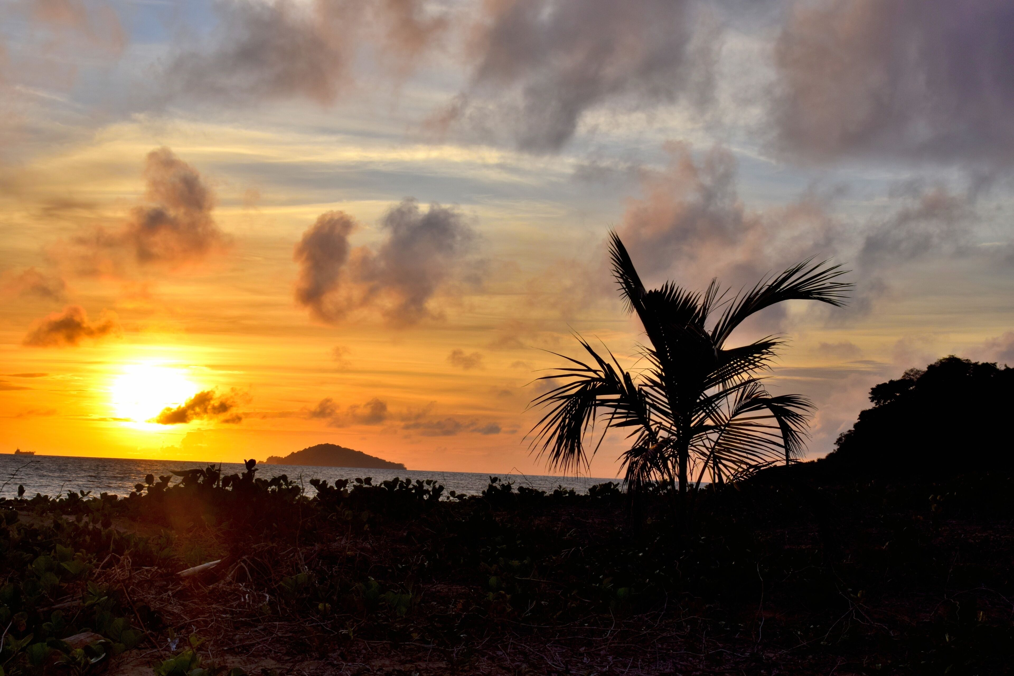 Guyane Remire Montjoly