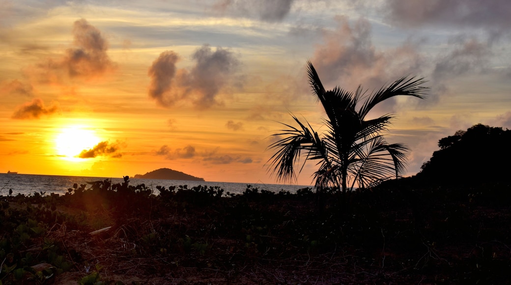 Guyane Remire Montjoly