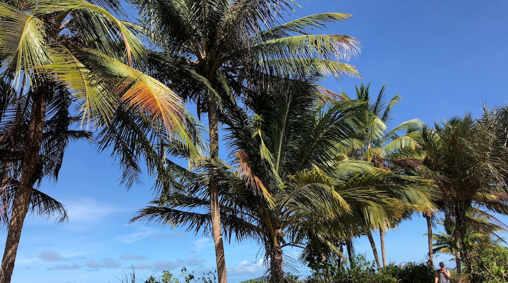 Guyane: sentier des salines