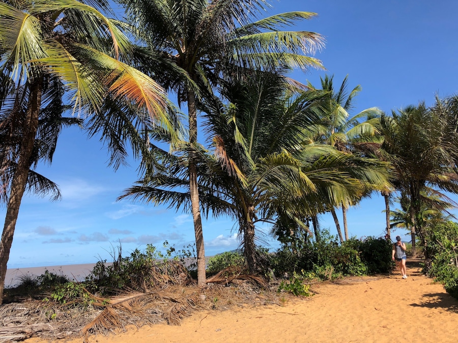 Guyane: sentier des salines