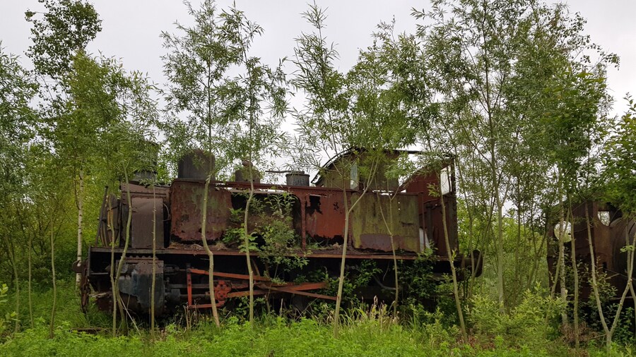 nature overgrowing old trains