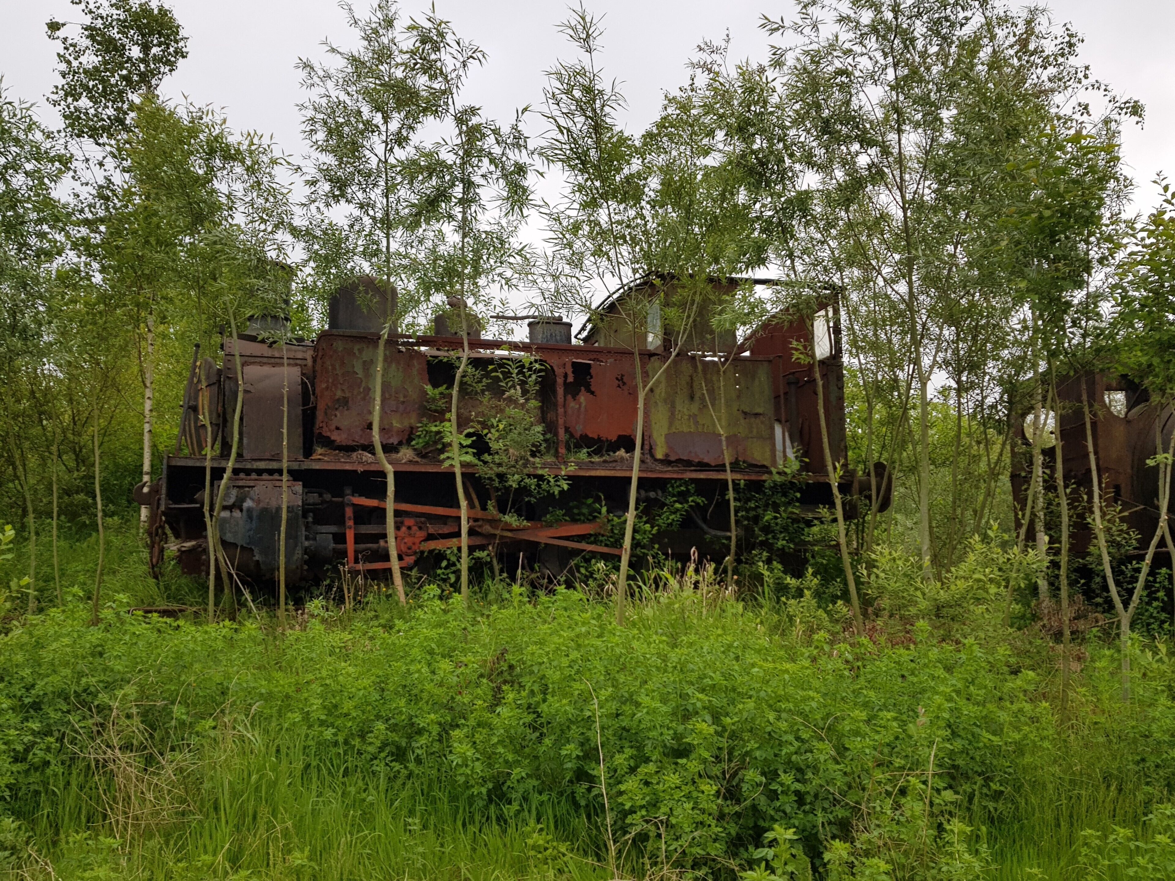 An abandoned rusted train engine surrounded by dense green foliage.