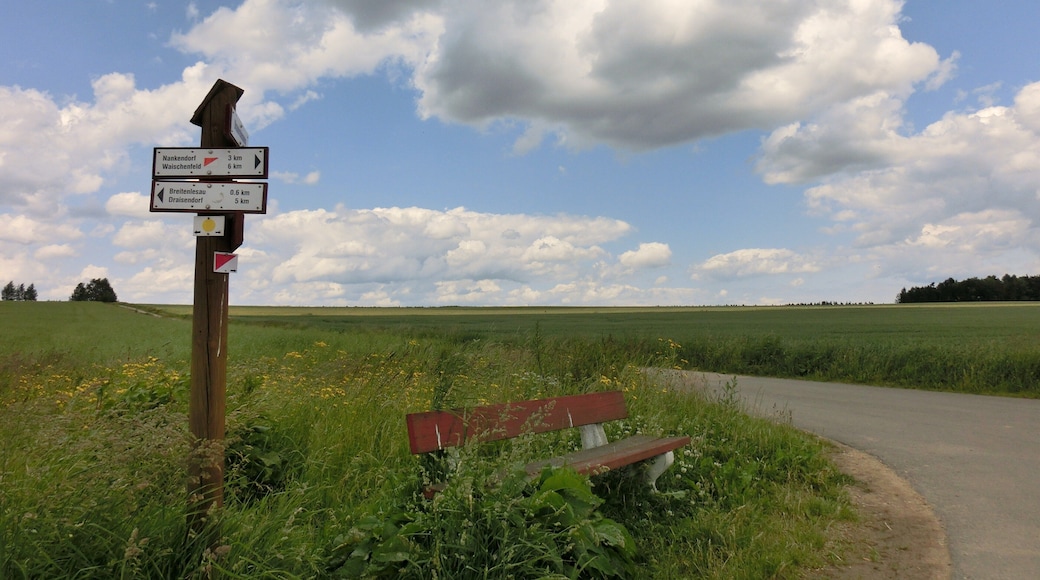 Wegkreuz bei Breitenlesau