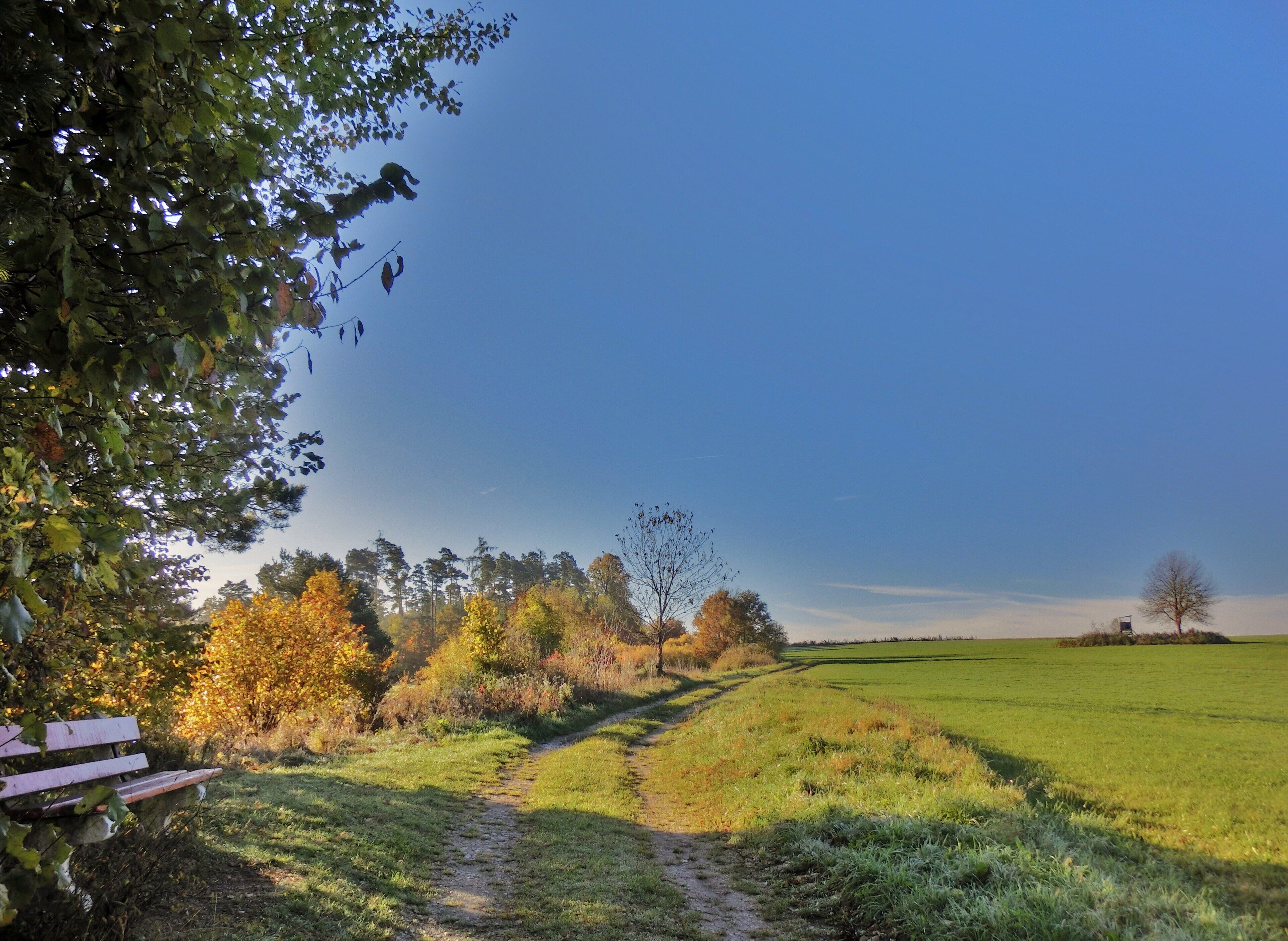 Wanderweg bei Schönhof