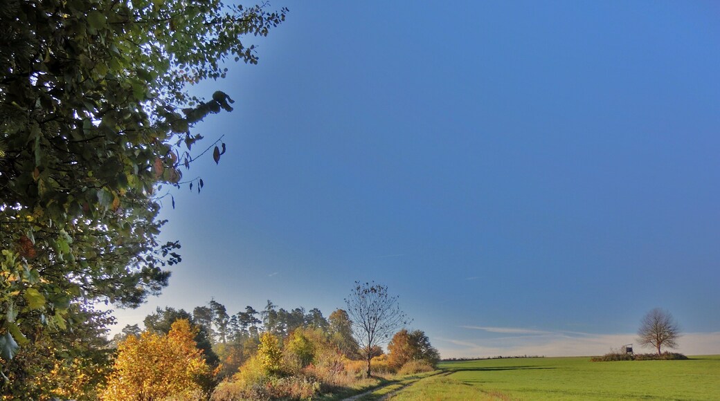 Wanderweg bei Schönhof