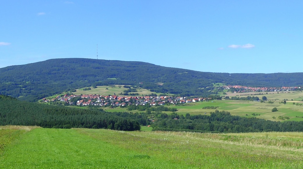 Waldberg und Sandberg