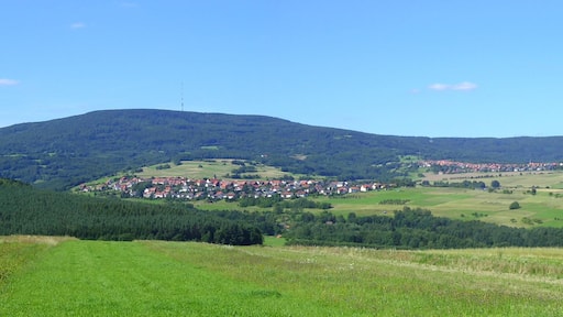 Waldberg und Sandberg
