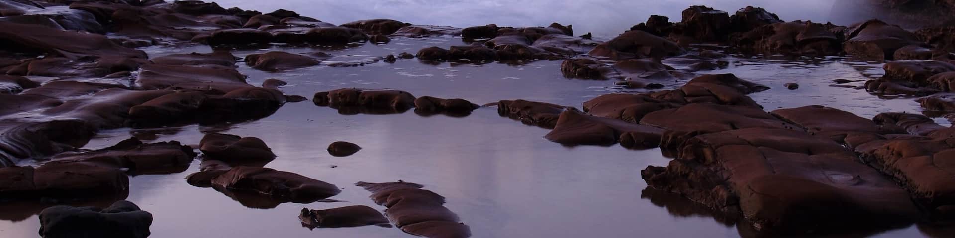 Home. Waking in a morning blur.