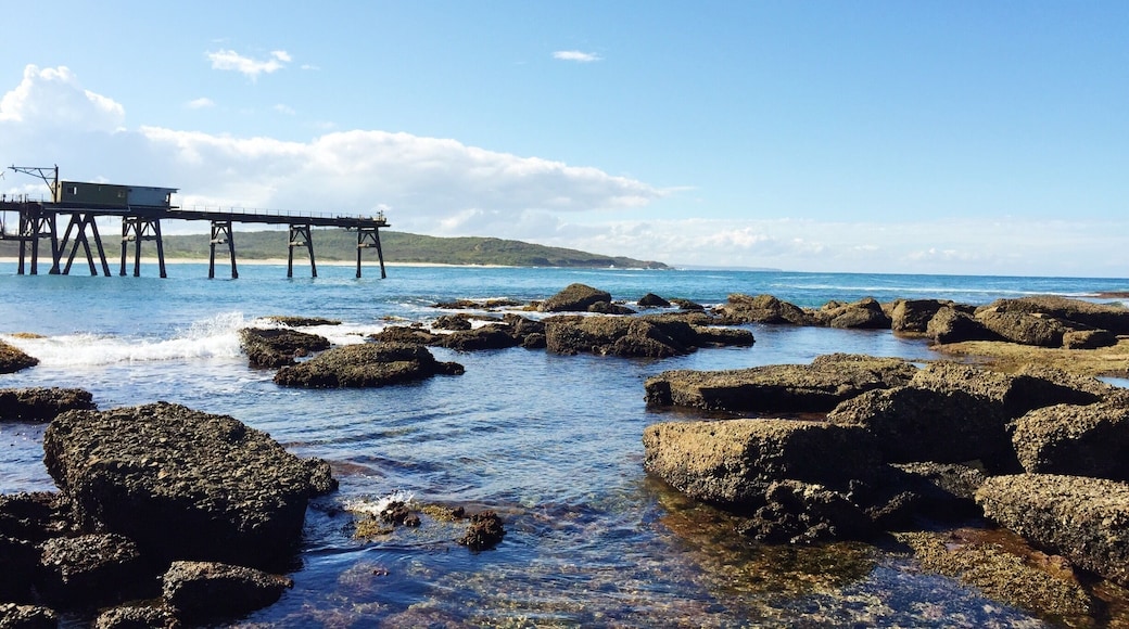 Afternoon walks at Cathrine Hill Bay. #beach #jetty #australia #ocean #myfavoutiteplace #blue #beachbound
