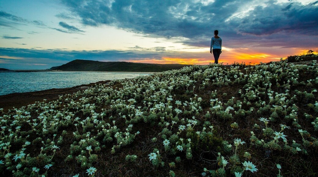 Springtime on the east coast NSW