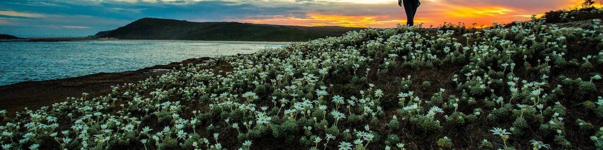 Springtime on the east coast NSW