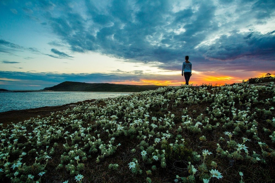 Springtime on the east coast NSW