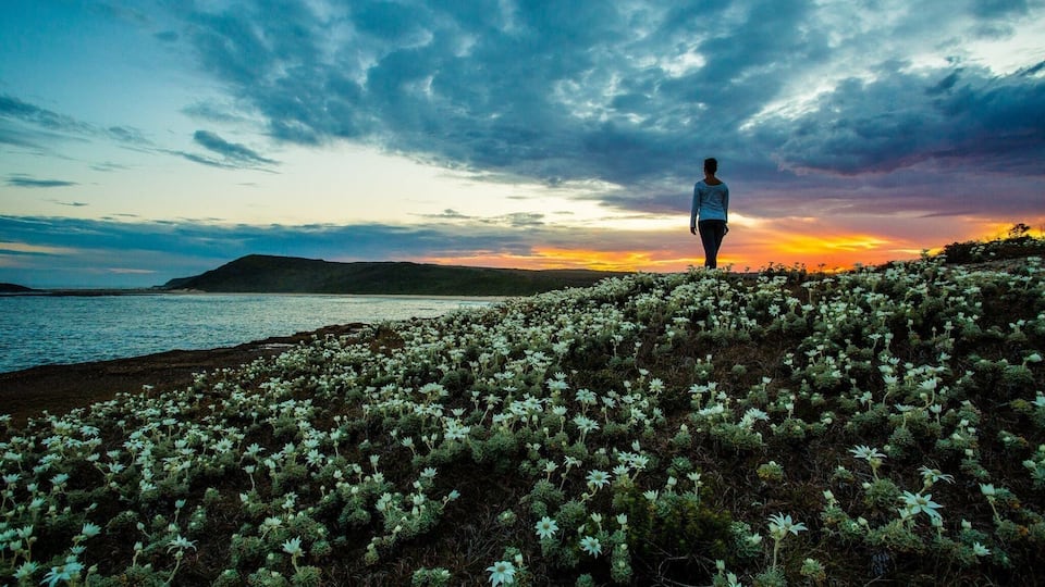 Springtime on the east coast NSW