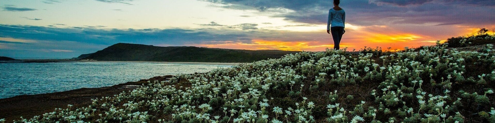 Springtime on the east coast NSW
