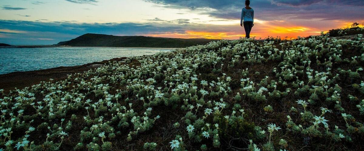 A person standing on a hill overlooking a body of water with a sunset in the background.