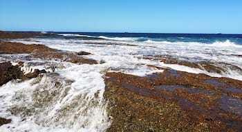 Note for next time: Don't try and walk on the rocks bare foot. #blue #beach #australia #ocean
