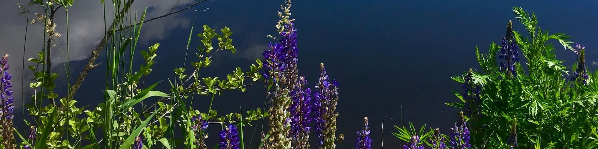 Quiet lake near Weißenstadt in the Fichtel Mountains, Bavaria
#AquaTrove