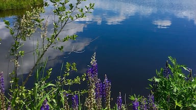 Quiet lake near Weißenstadt in the Fichtel Mountains, Bavaria
#AquaTrove