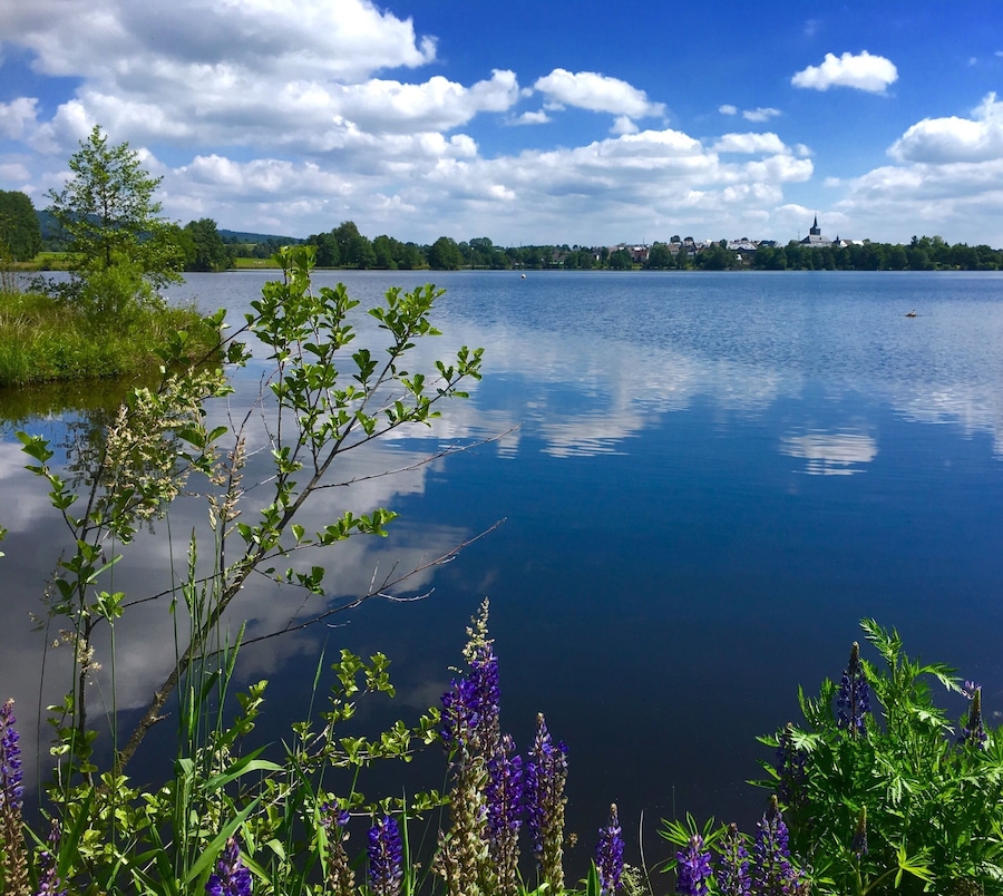 Quiet lake near Weißenstadt in the Fichtel Mountains, Bavaria
#AquaTrove