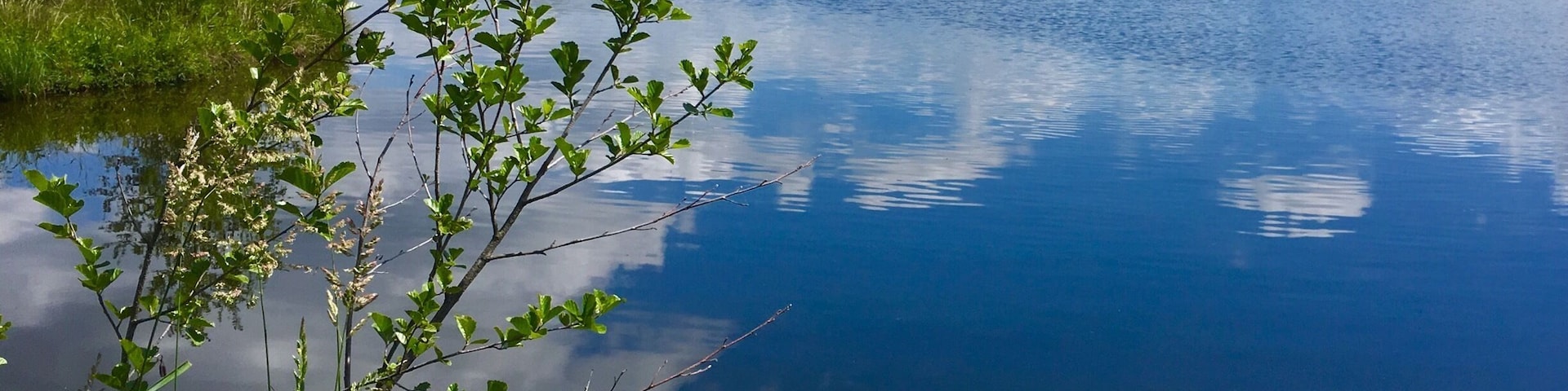 Quiet lake near Weißenstadt in the Fichtel Mountains, Bavaria
#AquaTrove