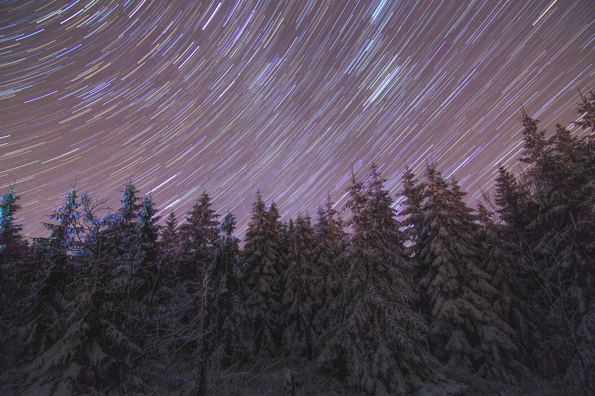 A star trail photograph of a snowy forest.