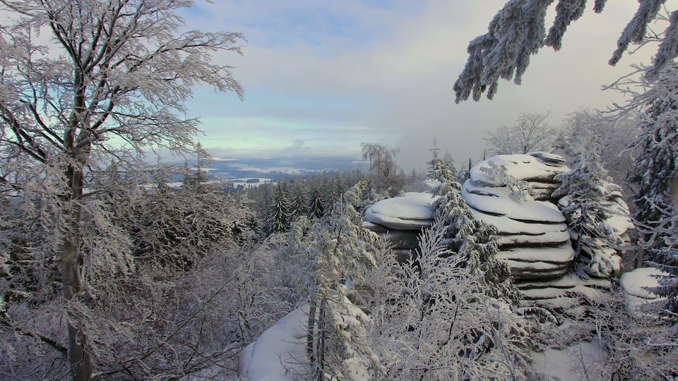 A snowy landscape with a tree, rocks, and a distant view of a town.