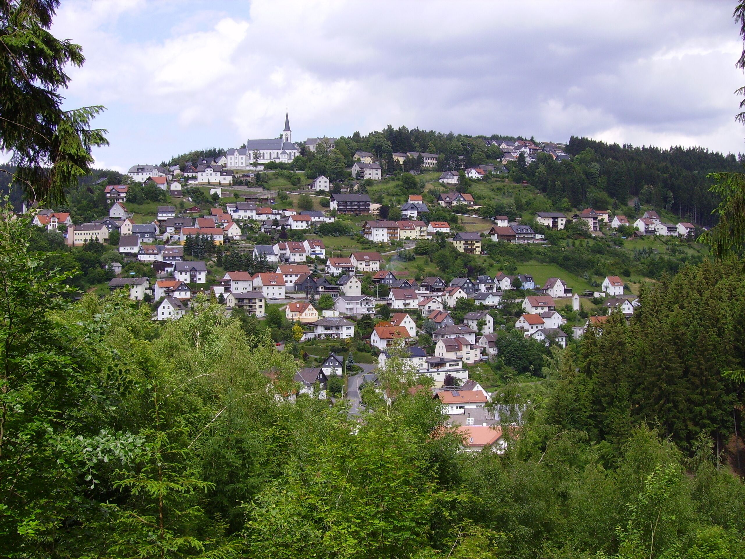 A hillside village with houses and a church on top.