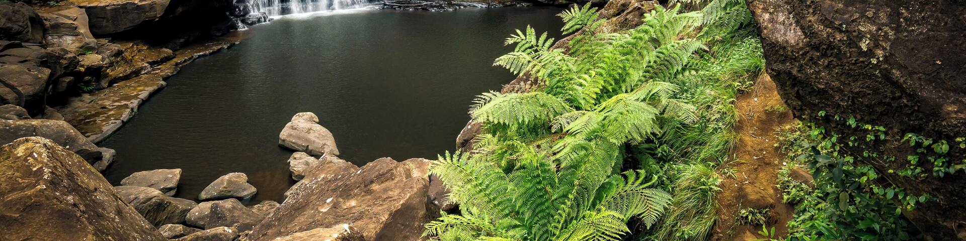 Follow an unmarked track for 30 minutes through the bush, watch out for snakes and fallen trees, and end up at this secluded swimming hole! #trovember
