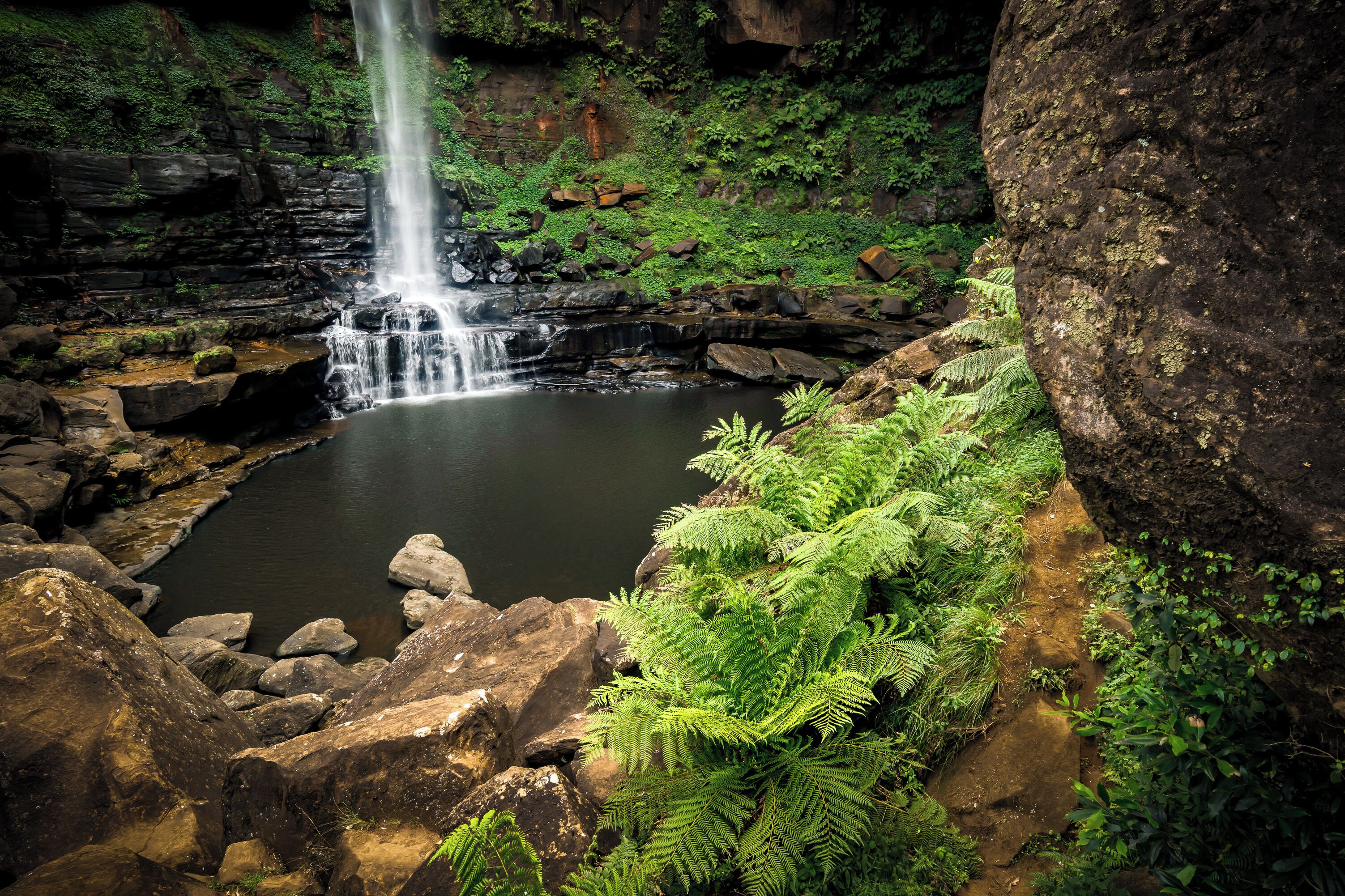A waterfall cascading into a pond surrounded by rocks and ferns.
