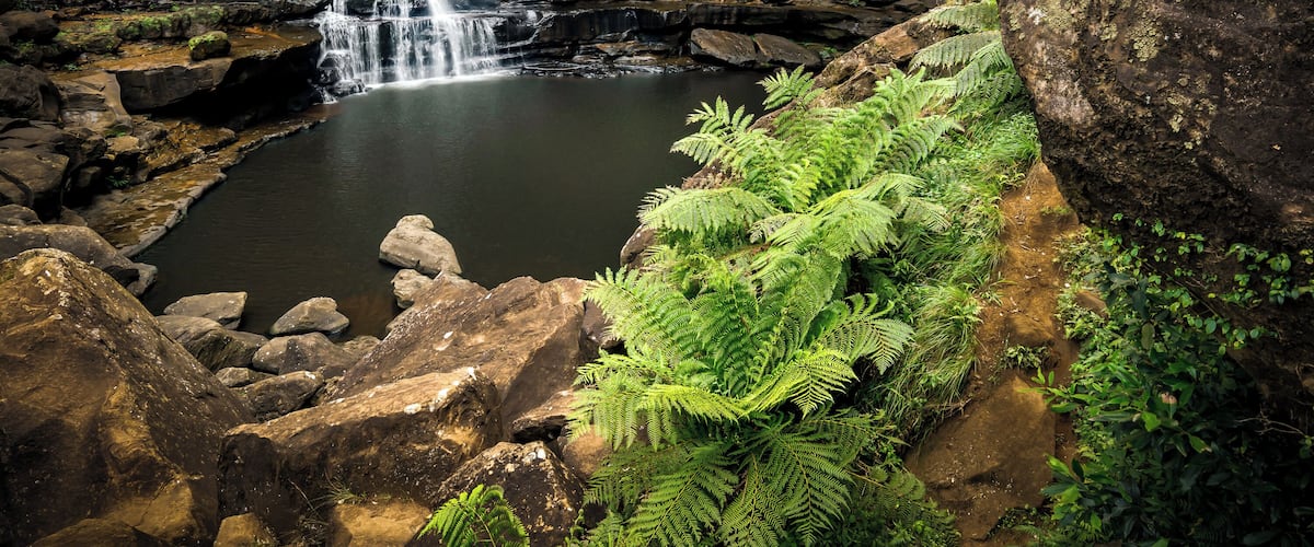 A waterfall cascading into a pond surrounded by rocks and ferns.