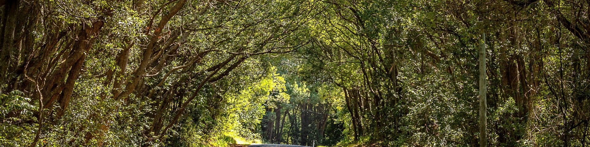 On the road to Nimbin from Byron Bay there are some great road views. This one just caught my eye, the covered road with the mottled sun coming through the hanging trees just makes me want to get out on the road and explore those areas you don’t see when you stick to the motorways. #OnTheRoad