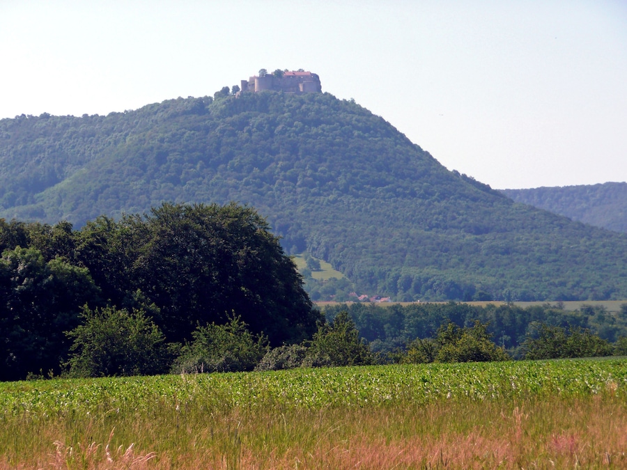 Une colline surmontée d’un château, entourée d’une forêt dense et de champs.