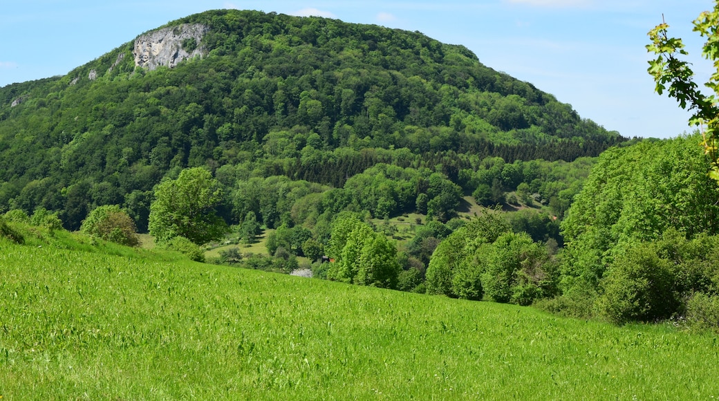 The mountain and the nature reserve of the same name of Rose stone with hay brook (protective area-No.: 1.086; WDPA-ID: 82440).