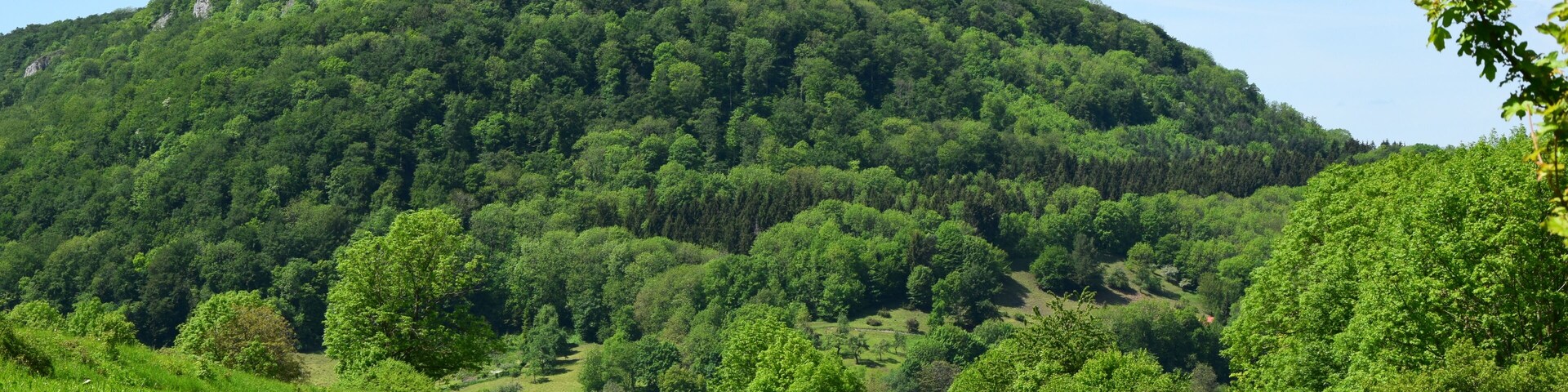 The mountain and the nature reserve of the same name of Rose stone with hay brook (protective area-No.: 1.086; WDPA-ID: 82440).