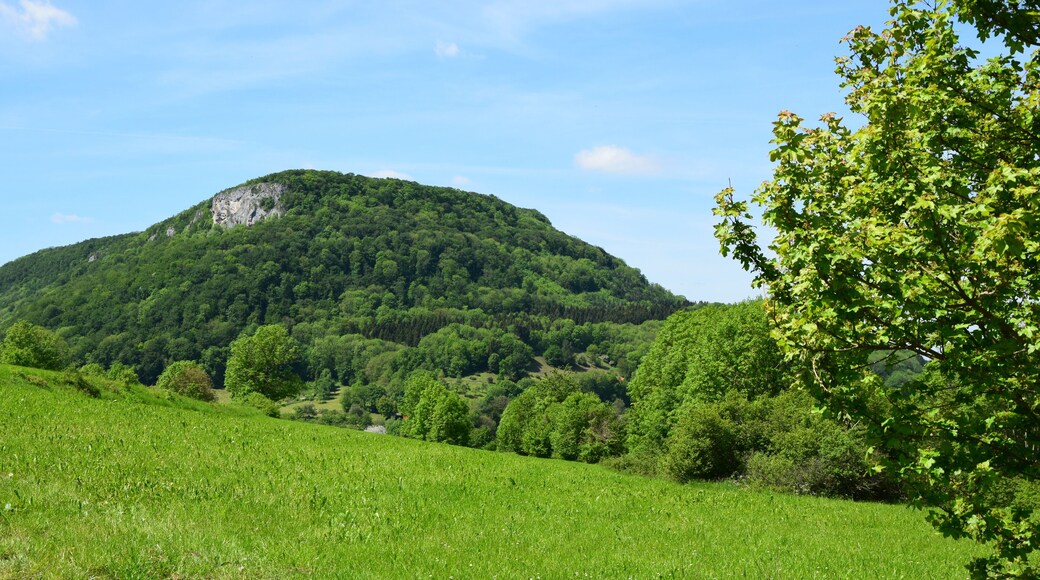 The mountain and the nature reserve of the same name of Rose stone with hay brook (protective area-No.: 1.086; WDPA-ID: 82440).