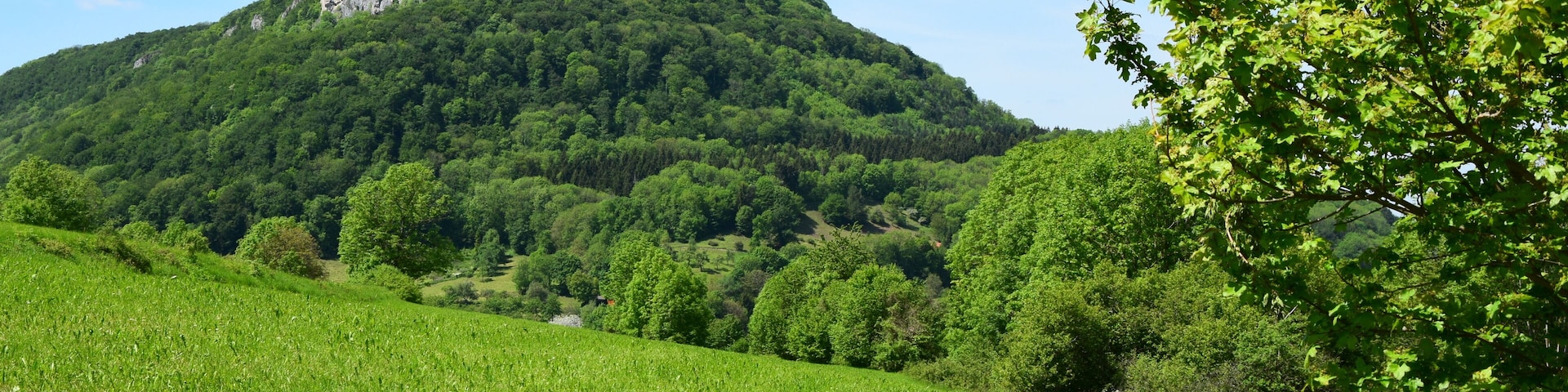 The mountain and the nature reserve of the same name of Rose stone with hay brook (protective area-No.: 1.086; WDPA-ID: 82440).