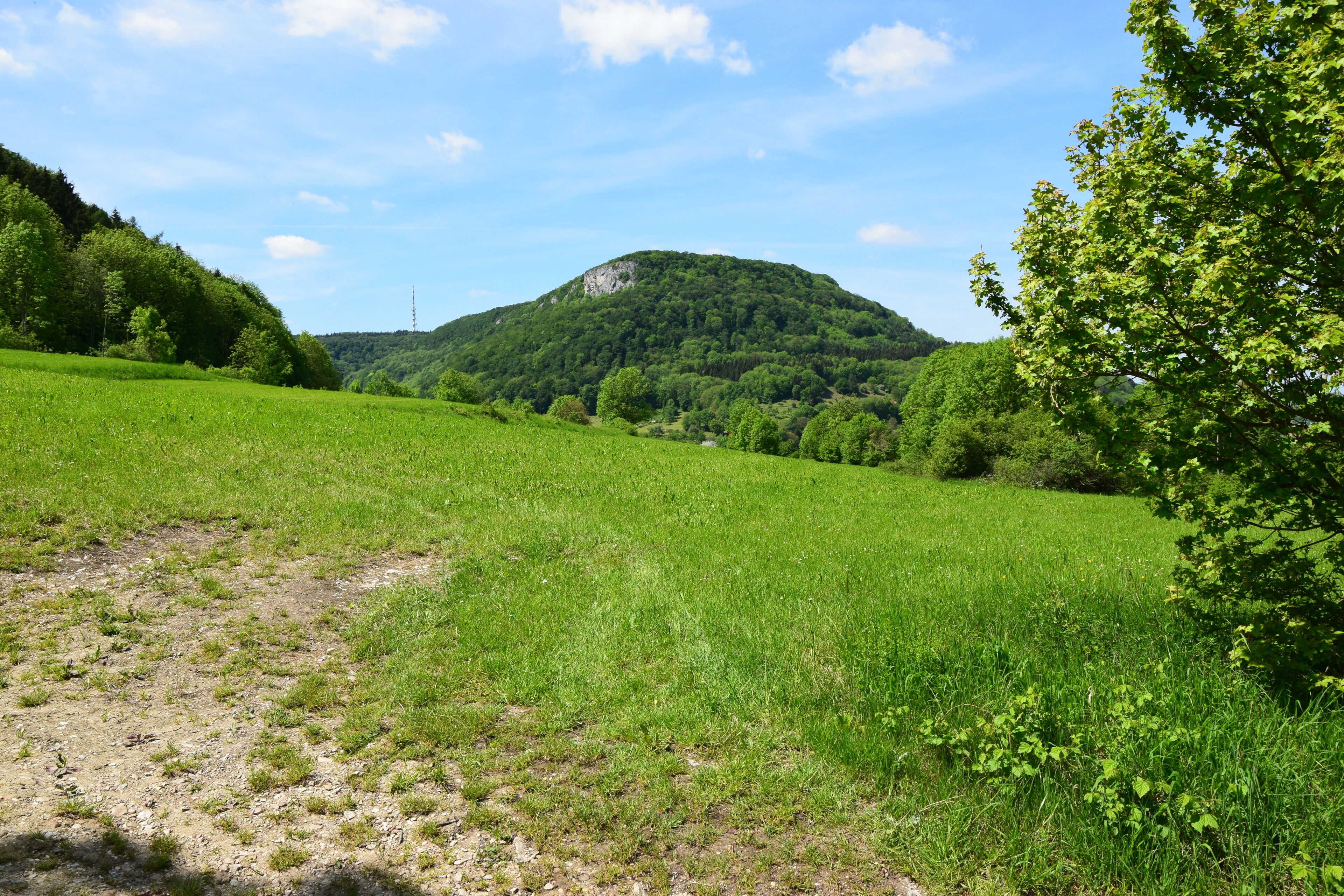 The mountain and the nature reserve of the same name of Rose stone with hay brook (protective area-No.: 1.086; WDPA-ID: 82440).