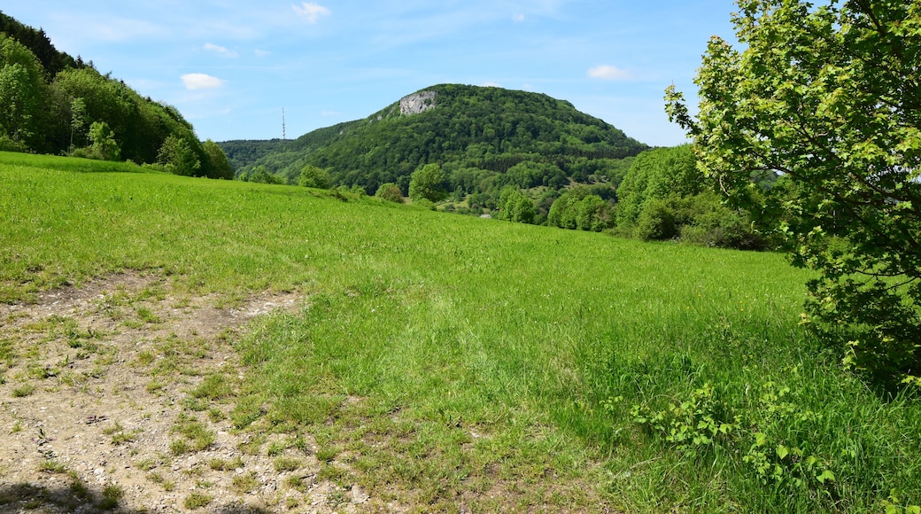 The mountain and the nature reserve of the same name of Rose stone with hay brook (protective area-No.: 1.086; WDPA-ID: 82440).