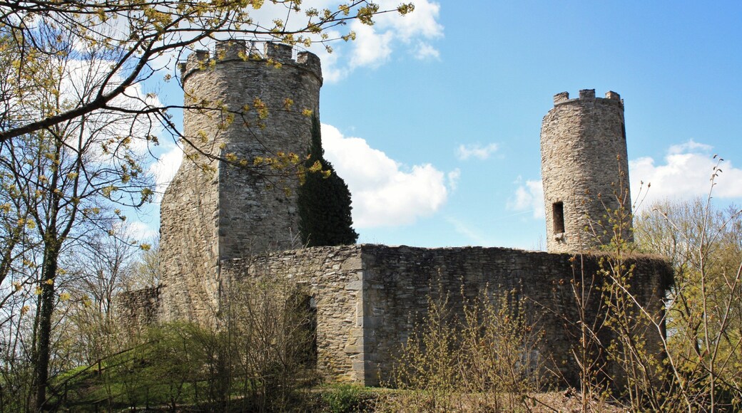 Die Ebersburg LSG 2631001 Hessische Rhön