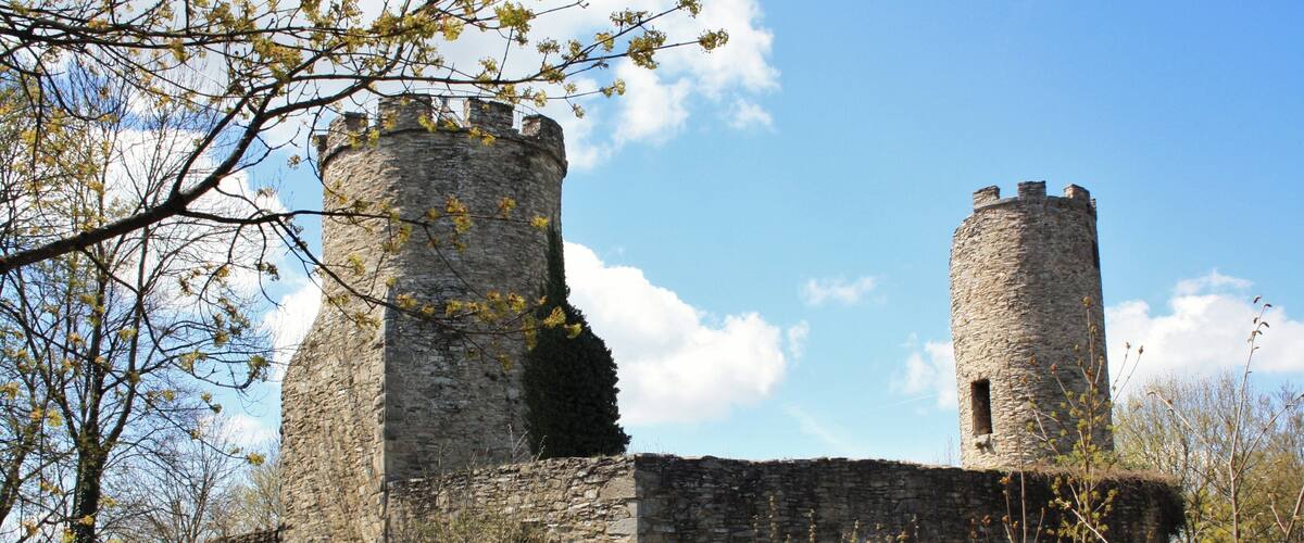 A stone castle with two towers, surrounded by trees and vegetation.