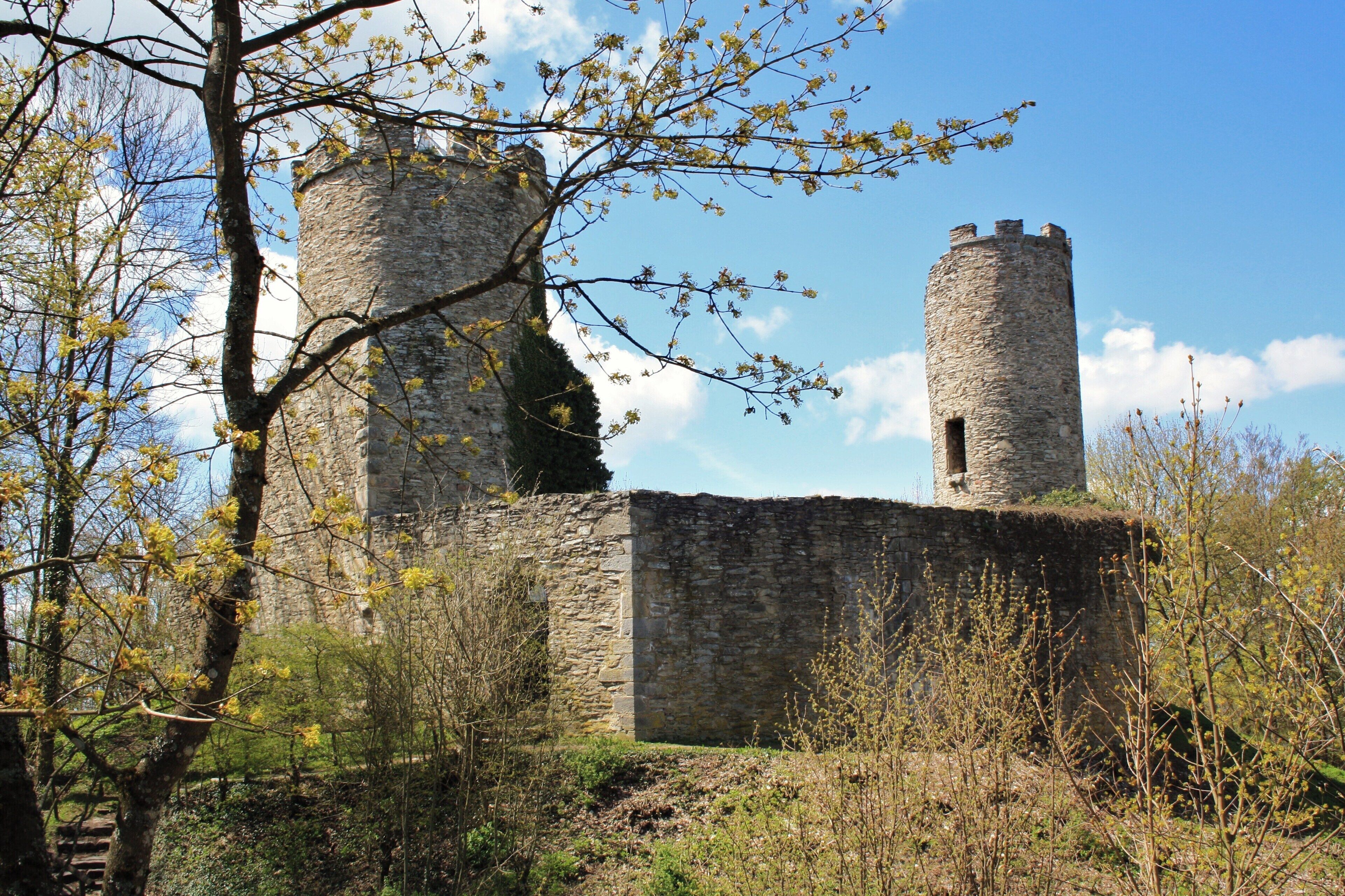 Die Ebersburg LSG 2631001 Hessische Rhön